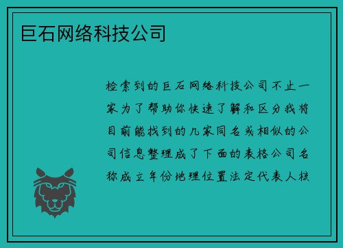 巨石网络科技公司